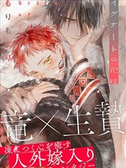 免费看漫画网站-海贼王